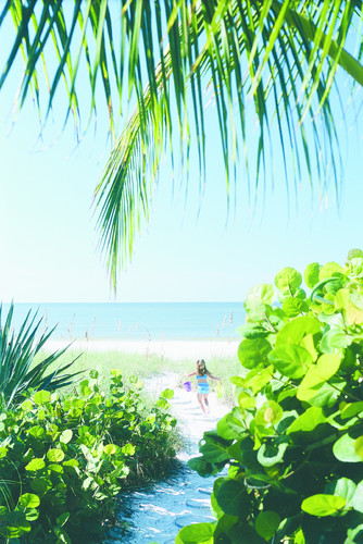 The Beaches of Fort Myers and Sanibel - Florida